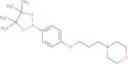 4-(3-Morpholinopropoxy)phenylboronic acid pinacol ester