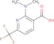 2-(Dimethylamino)-6-(trifluoromethyl)pyridine-3-carboxylic acid