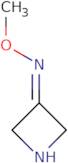 N-Methoxyazetidin-3-imine hydrochloride