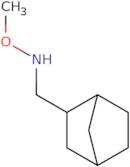 {Bicyclo[2.2.1]heptan-2-ylmethyl}(methoxy)amine