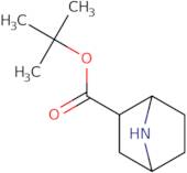 tert-Butyl 7-azabicyclo[2.2.1]heptane-2-carboxylate