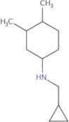 N-(Cyclopropylmethyl)-3,4-dimethylcyclohexan-1-amine