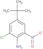 4-tert-Butyl-2-chloro-6-nitroaniline