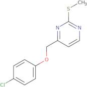 2'-Methylbiphenyl-4-boronic acid pinacol ester