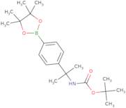 4-[2-(Boc-amino)-2-propyl]phenylboronic Acid Pinacol Ester