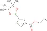 5-(4,4,5,5-Tetramethyl-[1,3,2]Dioxaborolan-2-Yl)-Thiophene-3-Carboxylic Acid Ethyl Ester