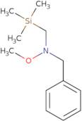 Benzyl(methoxy)[(trimethylsilyl)methyl]amine