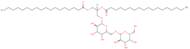 Digalactosyldiacylglycerol (plant, hydrogenated)