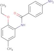 3-Bromo-4-tert-butoxynitrobenzene