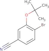 3-tert-Butoxy-4-bromobenzonitrile