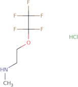 Methyl[2-(1,1,2,2,2-pentafluoroethoxy)ethyl]amine