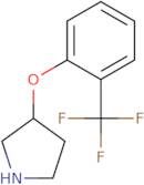 (3S)-3-[2-(Trifluoromethyl)phenoxy]-pyrrolidine