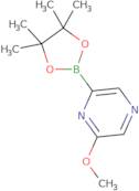 6-Methoxypyrazine-2-boronic acid pinacol ester