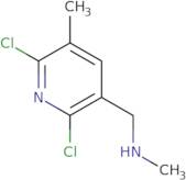 [(2,6-Dichloro-5-methylpyridin-3-yl)methyl](methyl)amine