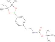 tert-butyl 4-(4,4,5,5-tetramethyl-1,3,2-dioxaborolan-2-yl)phenethylcarbamate