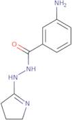 3-Amino-N-[(E)-pyrrolidin-2-ylideneamino]benzamide