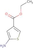 Ethyl 5-aminothiophene-3-carboxylate