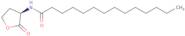 N-Tetradecanoyl-D-homoserine lactone