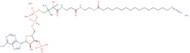 16:0 Azido coenzyme A