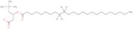 24:0(d4) Carnitine