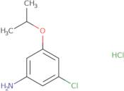 3-Chloro-5-(propan-2-yloxy)aniline hydrochloride