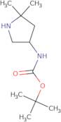 tert-Butyl N-(5,5-dimethylpyrrolidin-3-yl)carbamate