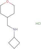 N-[(Oxan-4-yl)methyl]cyclobutanamine hydrochloride