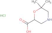 6,6-Dimethylmorpholine-2-carboxylic acid hydrochloride
