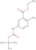 Amitifadine