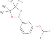 2-[3-(difluoromethoxy)phenyl]-4,4,5,5-tetramethyl-1,3,2-dioxaborolane