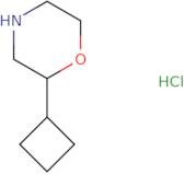 2-Cyclobutylmorpholine hydrochloride