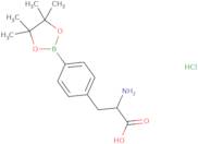 (2S)-2-Amino-3-[4-(4,4,5,5-tetramethyl-1,3,2-dioxaborolan-2-yl)phenyl]propanoic acid hydrochloride