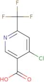 4-Chloro-6-(trifluoromethyl)nicotinic acid