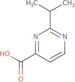 2-Isopropylpyrimidine-4-carboxylic acid