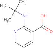 2-(tert-Butylamino)nicotinic acid