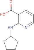 2-(Cyclopentylamino)nicotinic acid