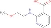 2-[(2-Methoxyethyl)amino]nicotinic acid