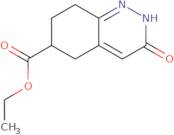 3-Oxo-2,3,5,6,7,8-hexahydro-cinnoline-6-carboxylic acid ethyl ester