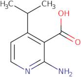 2-Amino-4-isopropylnicotinic acid
