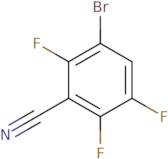 3-Bromo-2,5,6-trifluorobenzonitrile