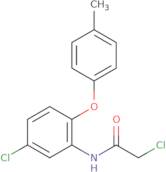 2-Chloro-N-[5-chloro-2-(4-methylphenoxy)phenyl]acetamide