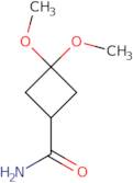 3,3-Dimethoxycyclobutanecarboxamide