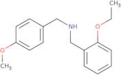 (2-Ethoxy-benzyl)-(4-methoxybenzyl)amine