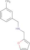 (Furan-2-ylmethyl)[(3-methylphenyl)methyl]amine