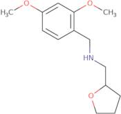 (2,4-Dimethoxy-benzyl)-(tetrahydro-furan-2-yl-methyl)-amine