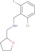 (2-Chloro-6-fluoro-benzyl)-(tetrahydro-furan-2-yl-methyl)-amine