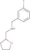 [(3-Fluorophenyl)methyl](oxolan-2-ylmethyl)amine