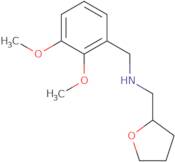 (2,3-Dimethoxy-benzyl)-(tetrahydro-furan-2-yl-methyl)-amine