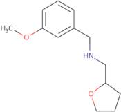 (3-Methoxy-benzyl)-(tetrahydro-furan-2-ylmethyl)-amine