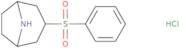 3-(Phenylsulfonyl)-8-azabicyclo[3.2.1]octane hydrochloride